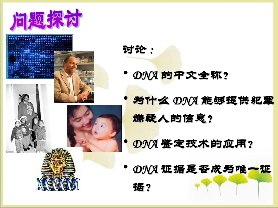 《遗传信息的携带者——核酸》参考课件1_第3页