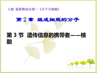 《遗传信息的携带者——核酸》参考课件1