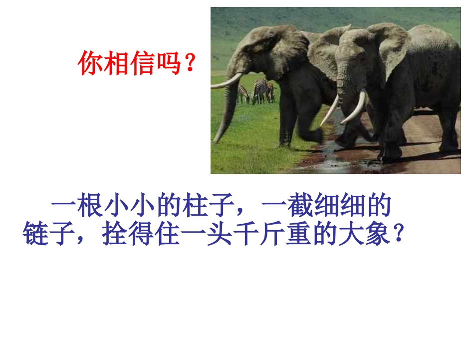 【班主任】习惯养成主题班会课件_第2页