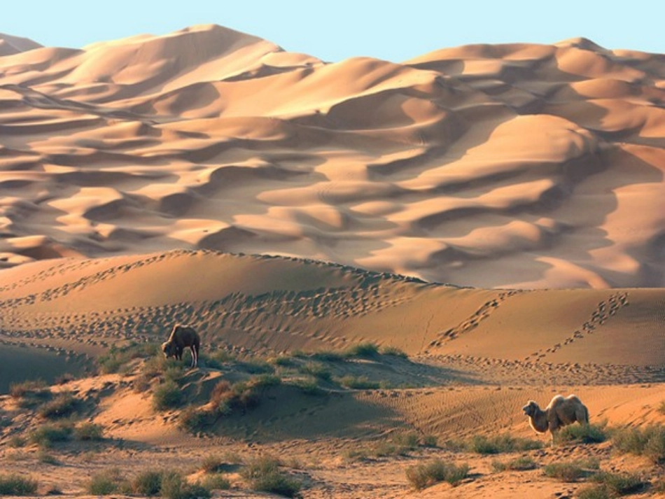 《在沙漠中心》课件 (2)_第3页