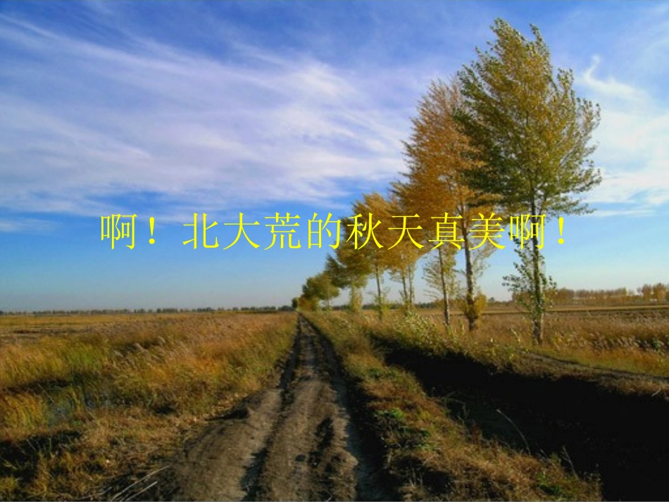 北大荒的秋天_第3页