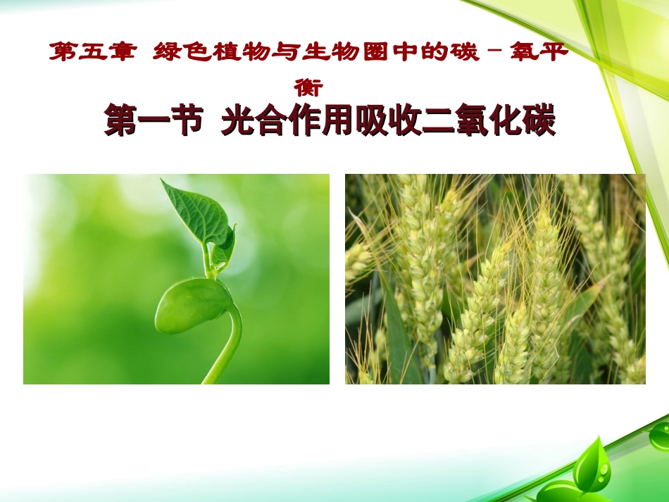 光合作用吸收二氧化碳释放氧气-(2)_第1页