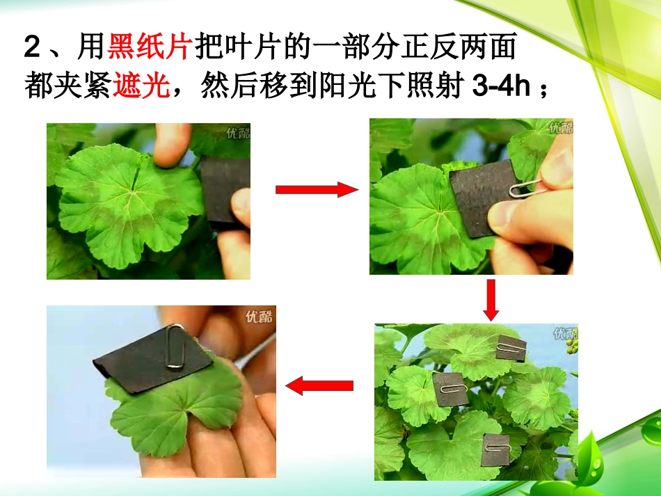 光合作用吸收二氧化碳释放氧气-(2)_第3页
