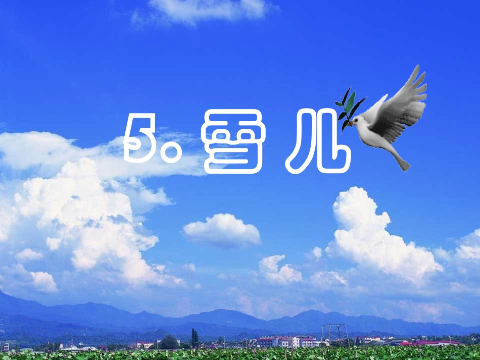 《雪儿》课件_第1页