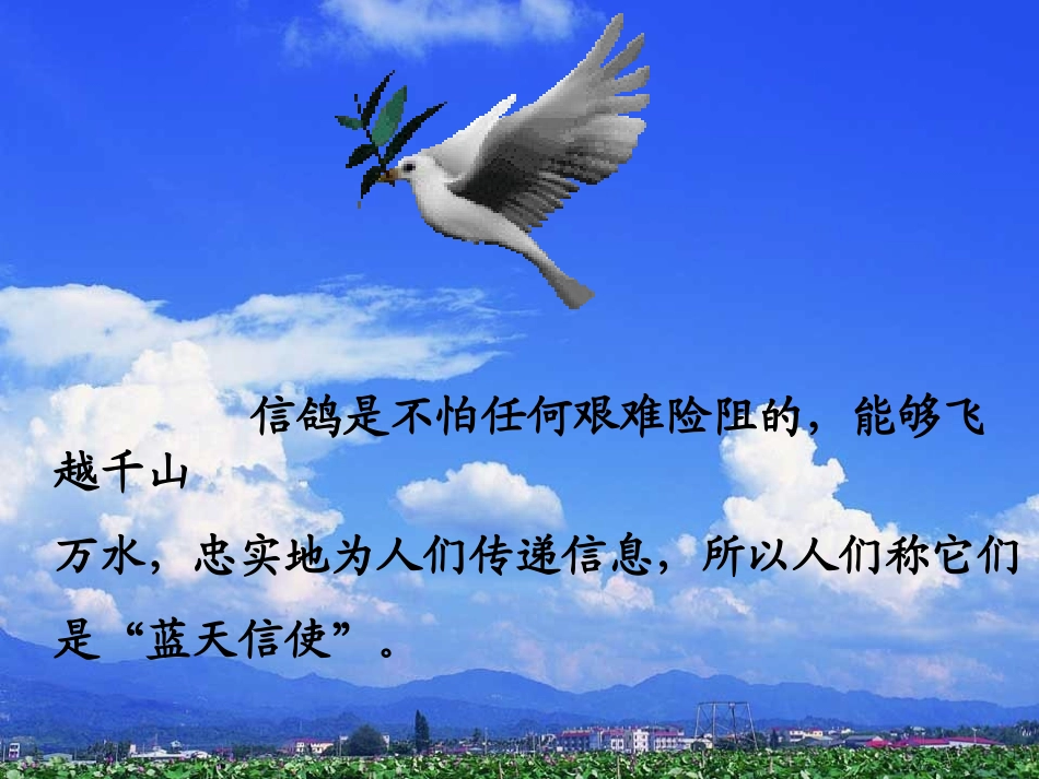 《雪儿》课件_第2页