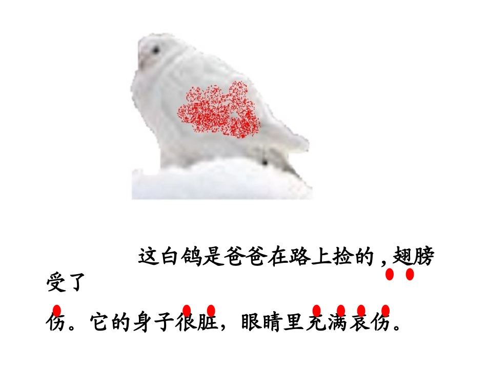 《雪儿》课件_第3页