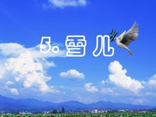 《雪儿》课件