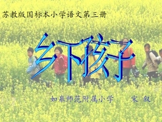 乡下孩子第二课时