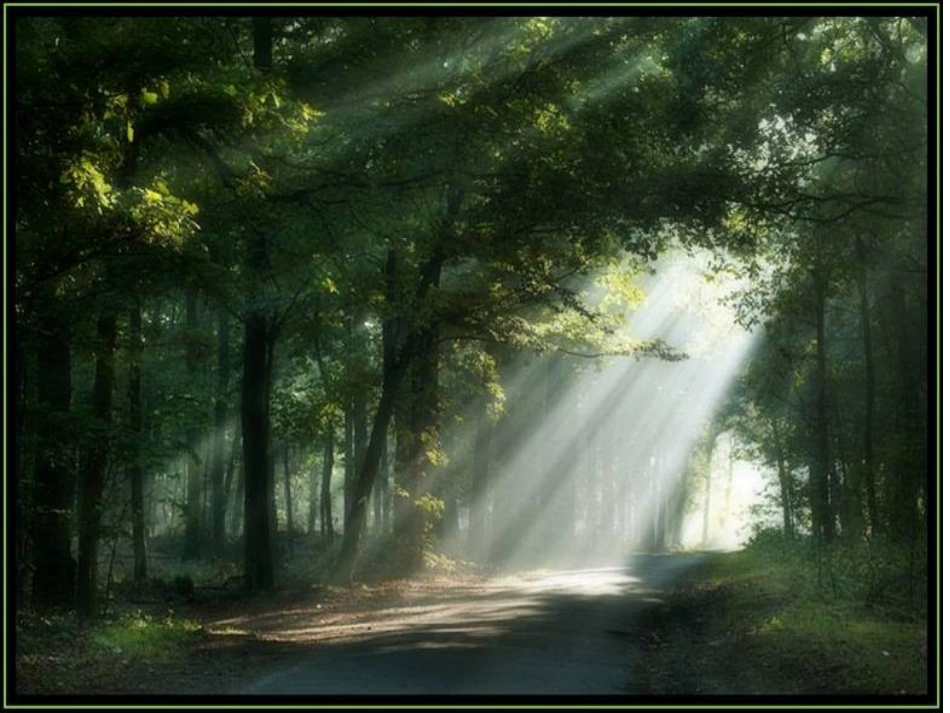 ）“红领巾”真好_第1页