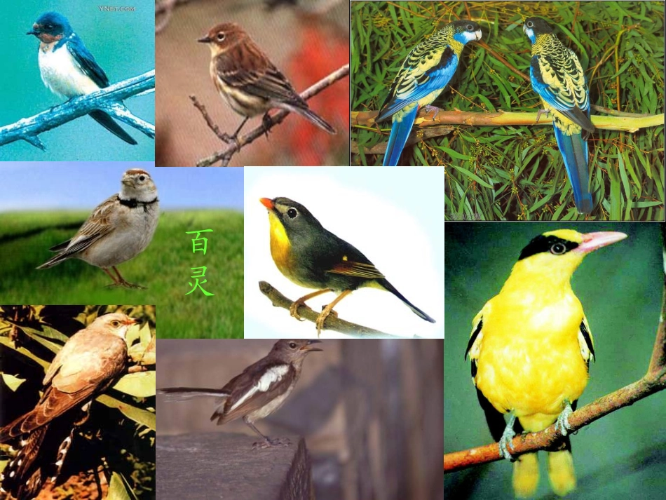 ）“红领巾”真好_第3页