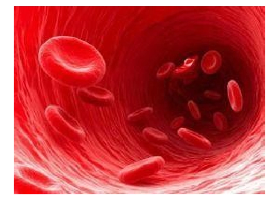 循环系统演示文稿(2)_第3页