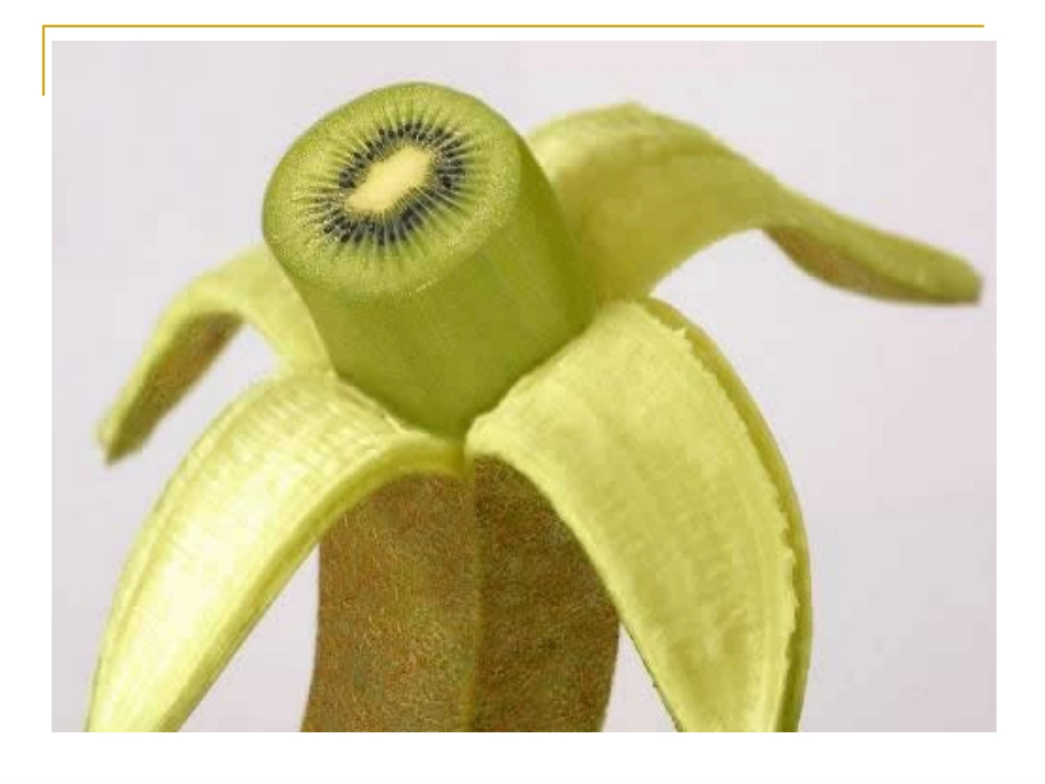 基因工程的应用1_第2页