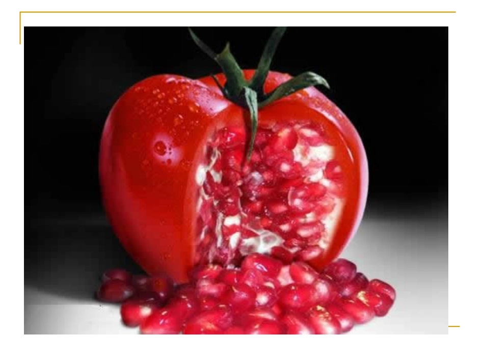 基因工程的应用1_第3页