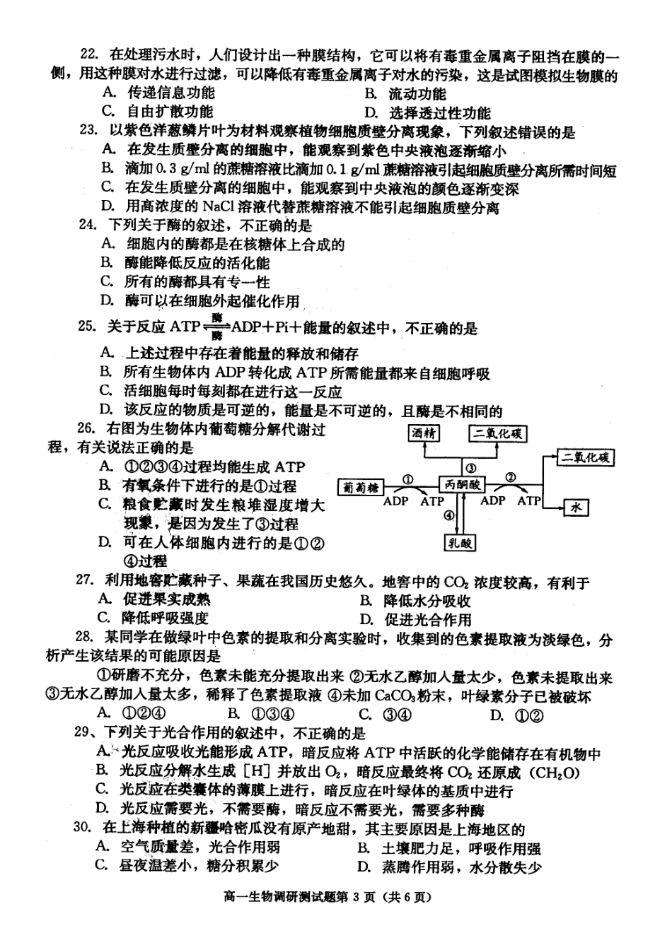 成都市2010-20011年高一上期期末调研考试试题及答案(生物)_第3页