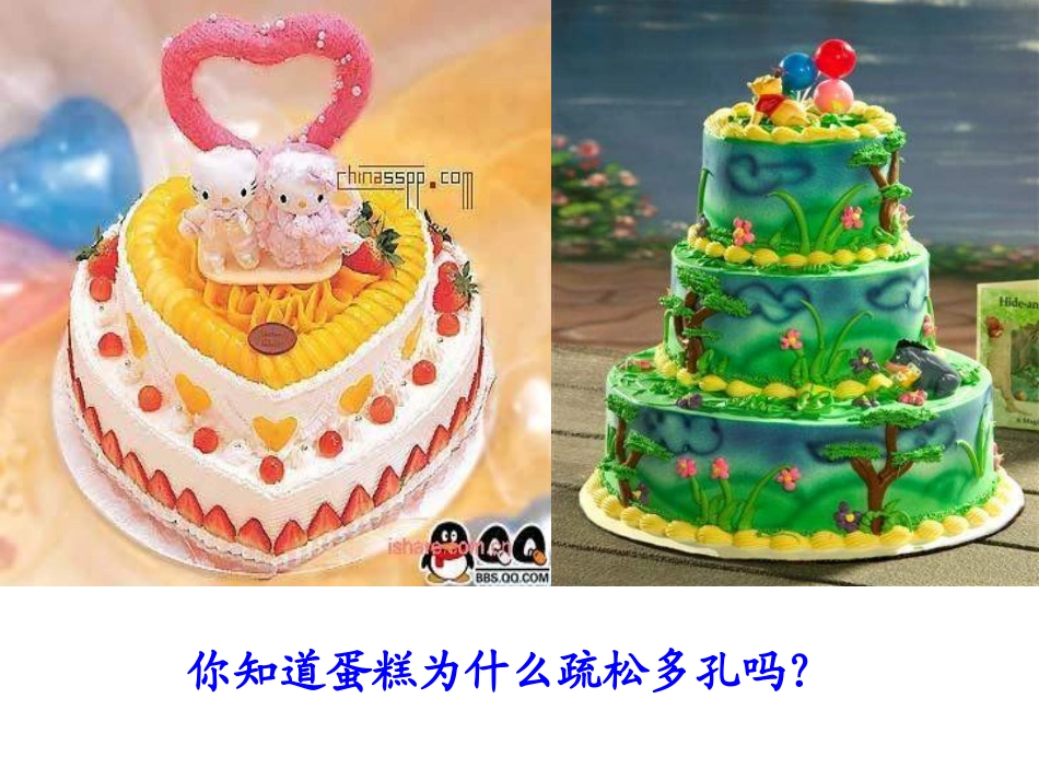 二氧化碳制取的探究_第1页