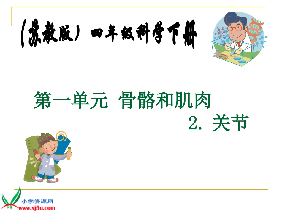 关节PPT课件_第1页