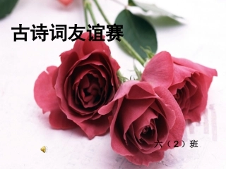 古诗复习友谊赛