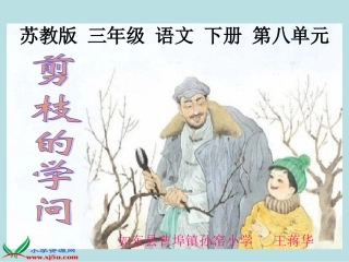 剪枝的学问 课件