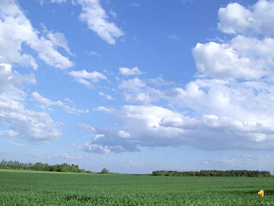 今天天气怎么样儿_第1页