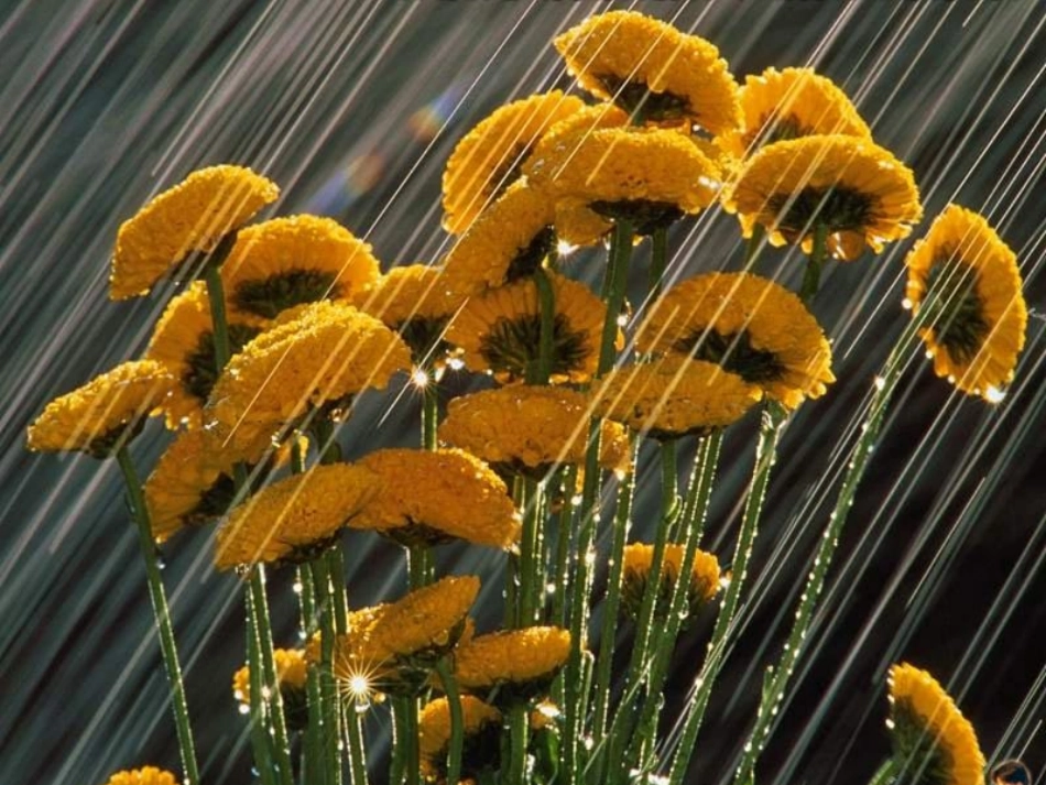 今天天气怎么样儿_第3页