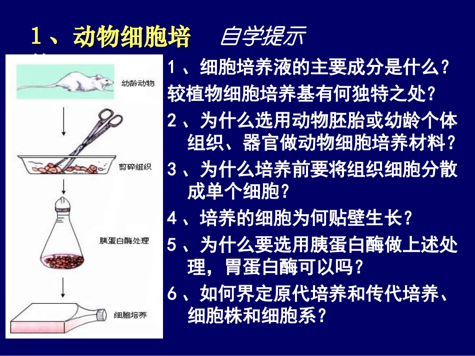 动物细胞工程huang_第3页