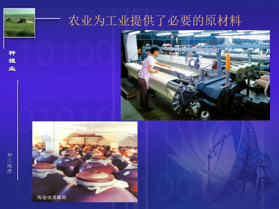 关于种植业的课件_第3页