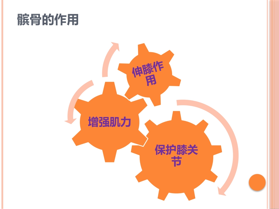 髌骨骨折护理查房_第3页