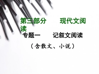 专题一记叙文阅读（含散文、小说）