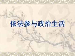 依法参与政治生活11