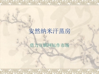 安然纳米汗蒸房