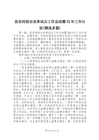县农村综合改革试点工作总结暨XX年工作计划(精选多篇)