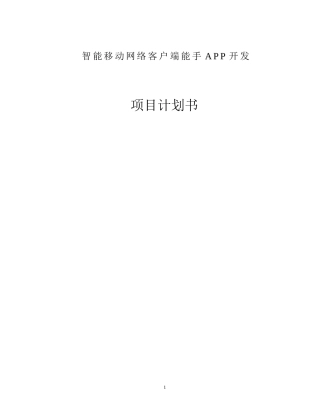 APP项目开发商业计划书