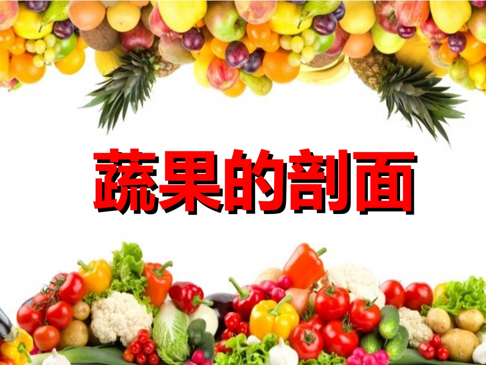 ms蔬果的剖面ppt_第1页