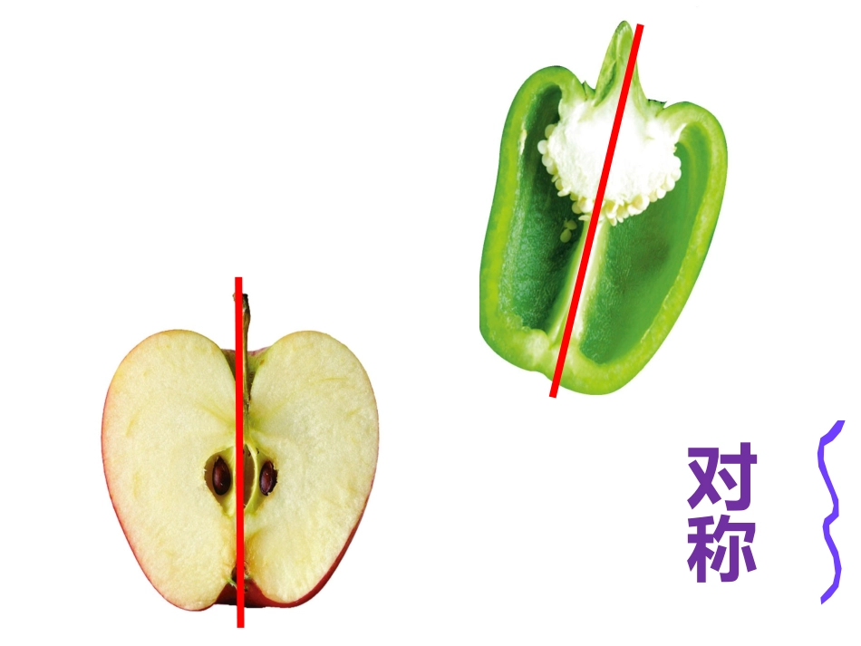 ms蔬果的剖面ppt_第2页