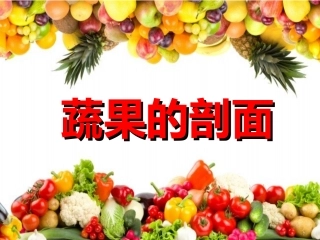 ms蔬果的剖面ppt