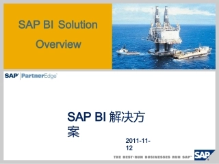 SAP-BI解决方案