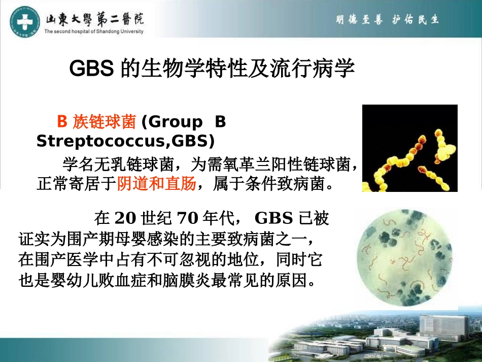 GBS与妊娠结局及预防_第2页