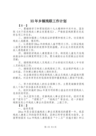 XX年乡镇残联工作计划