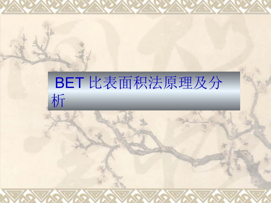 BET测试比表面积_第1页