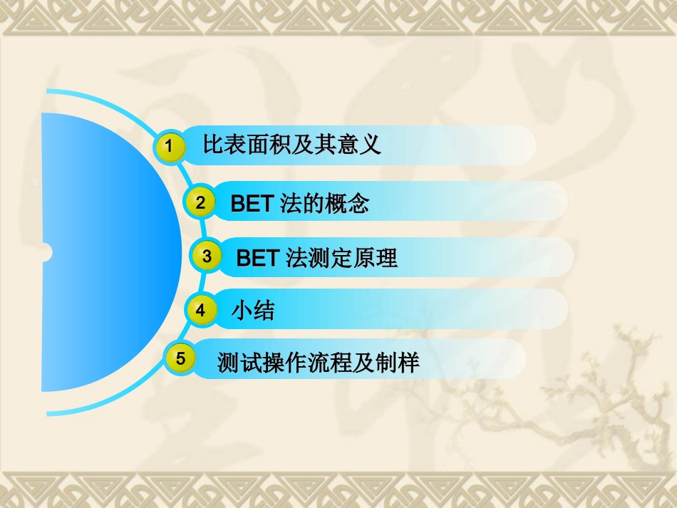 BET测试比表面积_第2页