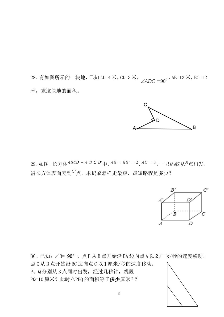 北师大八年级第一次月考题_第3页
