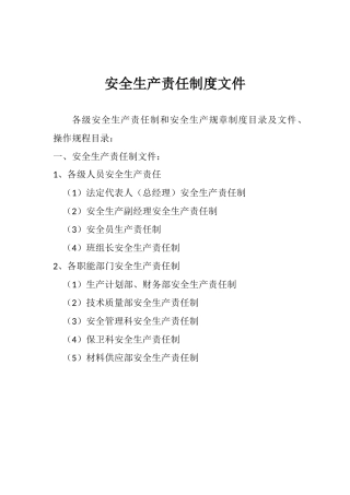 安全生产责任制度文件