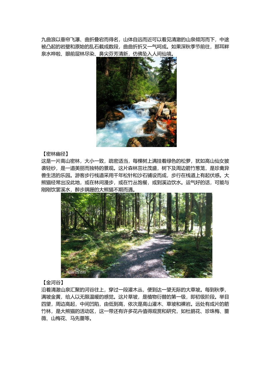 白马王朗景区一日游攻略_第2页