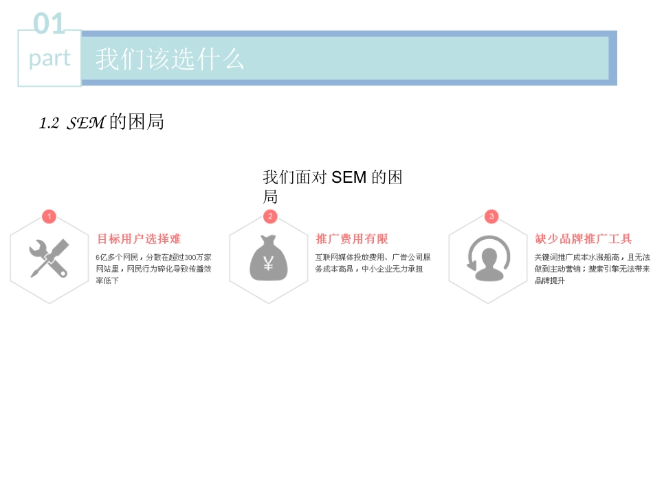 DSP推广方案_第3页