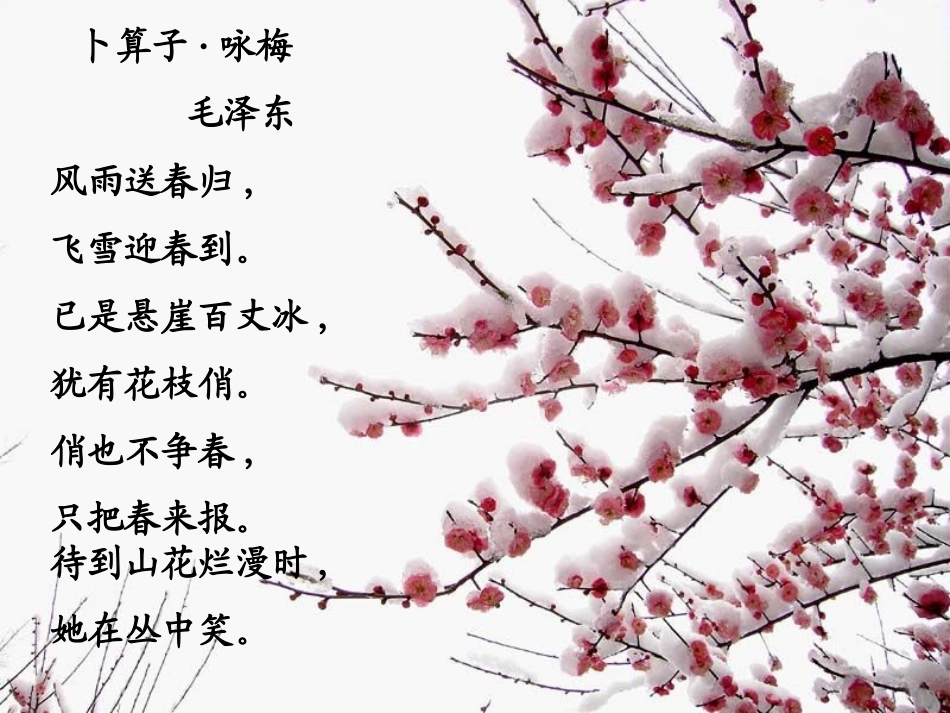 病梅馆记优秀公开课课件_第3页