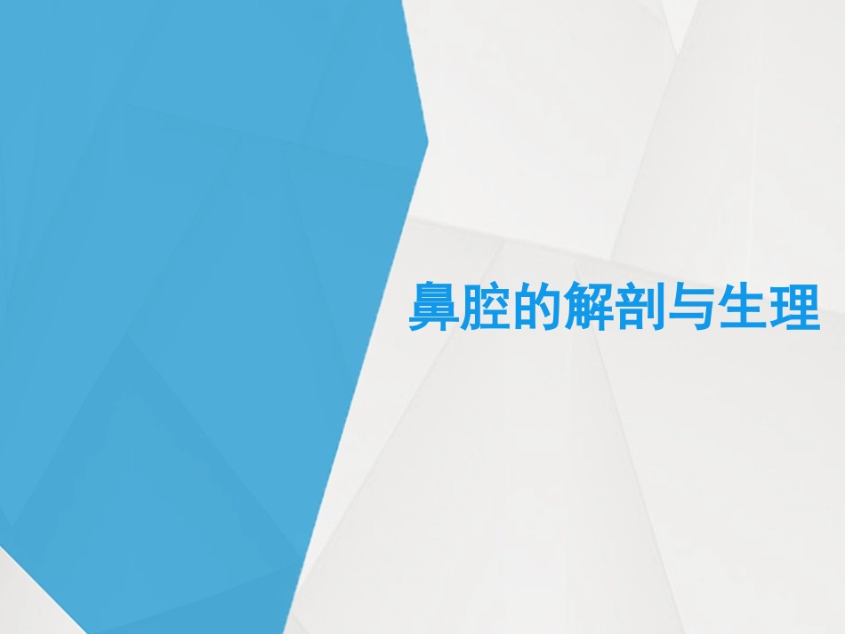 鼻腔的解剖结构_第1页