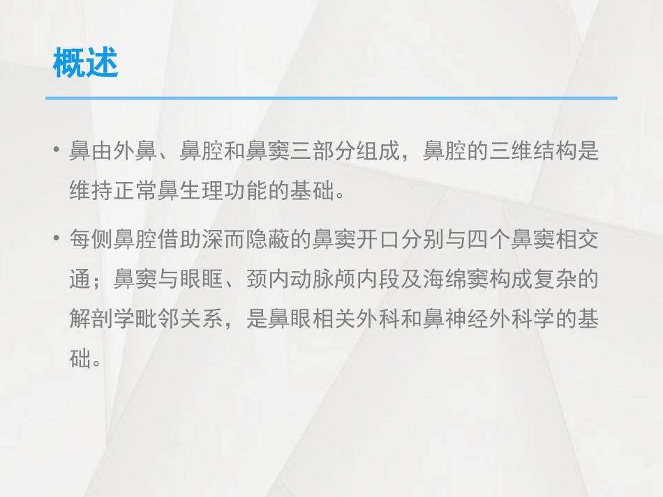 鼻腔的解剖结构_第2页