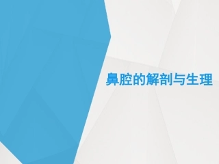 鼻腔的解剖结构