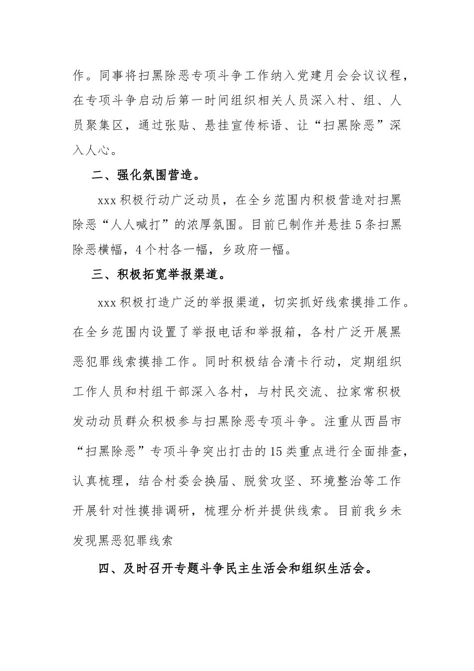 xxx扫黑除恶工作总结_第2页