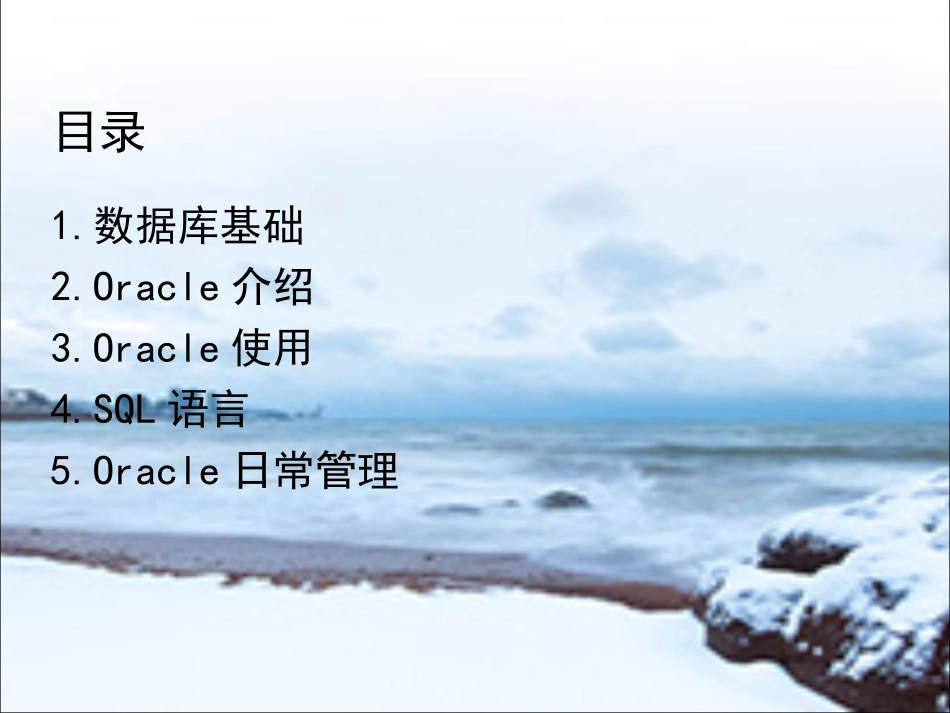 oracle基础培训课程_第2页